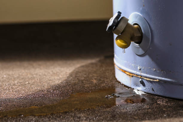 Best Sewage cleanup and water damage restoration  in Edgar, WI