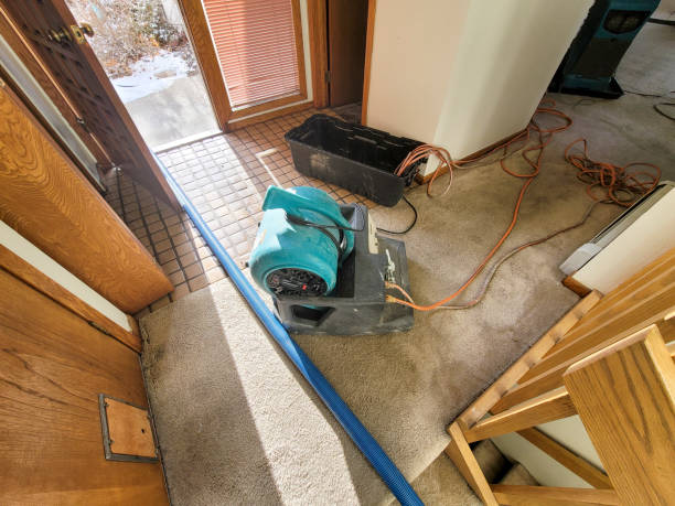 Best Professional water damage repair  in Edgar, WI