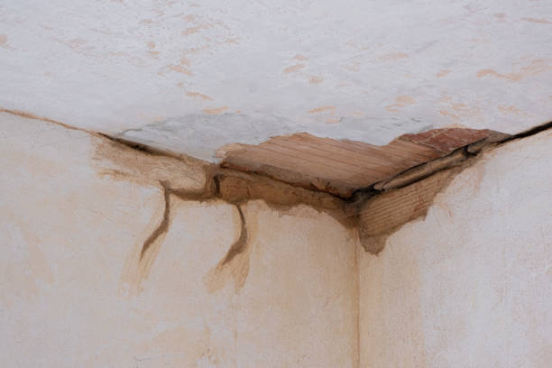 Best Professional water damage repair  in Edgar, WI