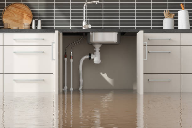 Best Water damage cleanup near me  in Edgar, WI