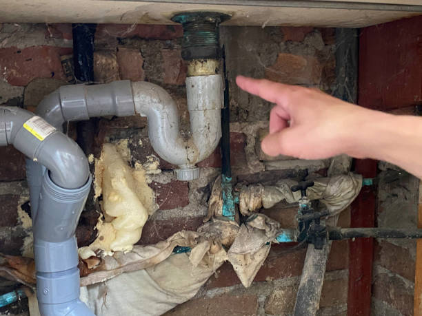 Best Water damage cleanup near me  in Edgar, WI